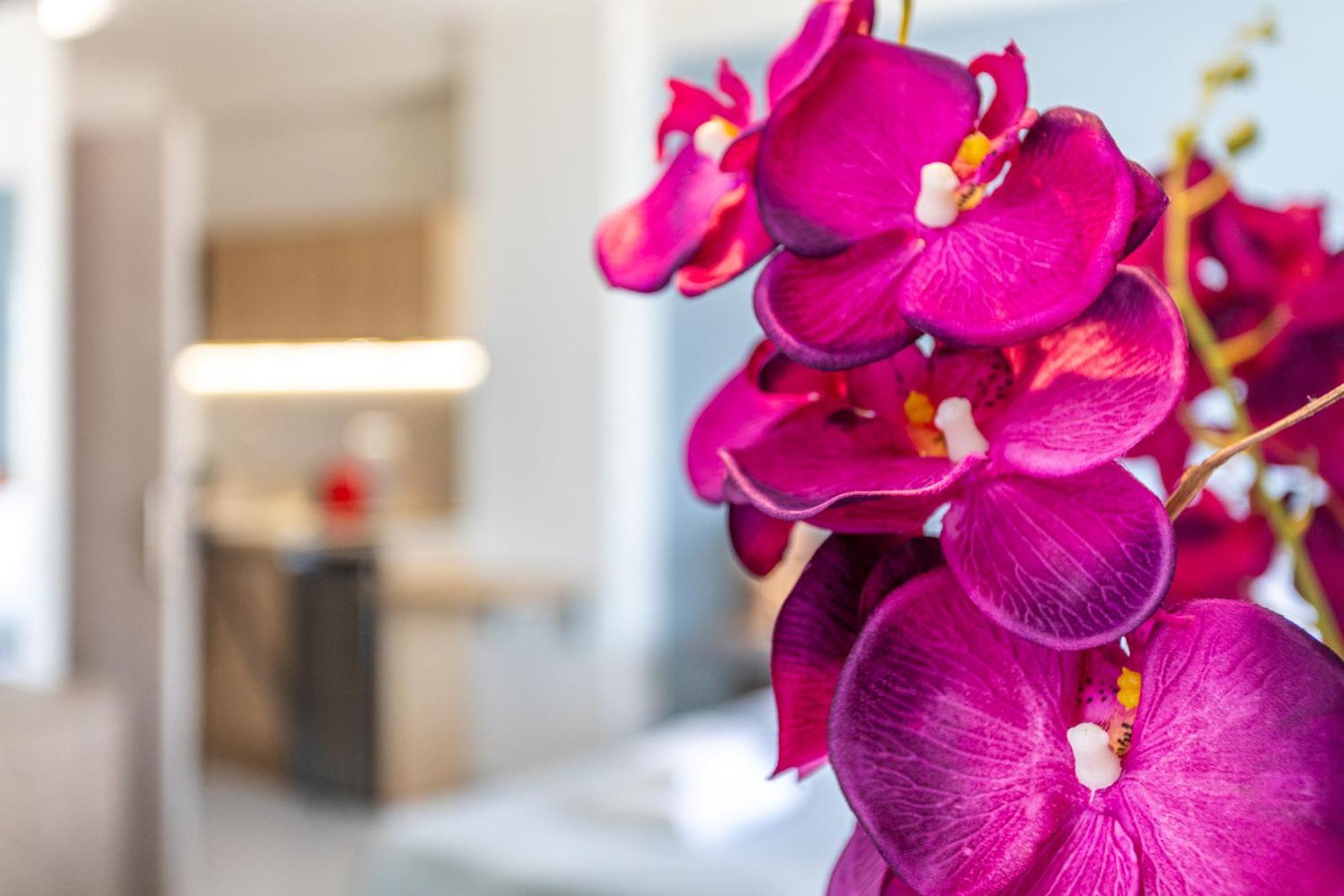 Marina Aparthotel Kardhamili Luaran gambar